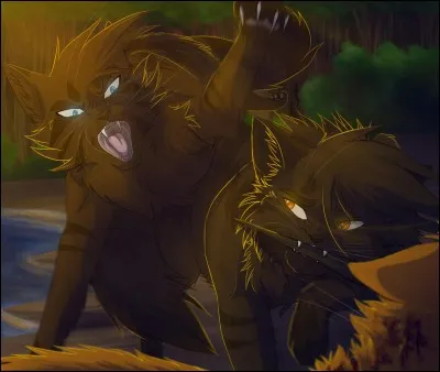 Qui entra&icirc;ne Feuille de Lis dans la For&ecirc;t Sombre ?