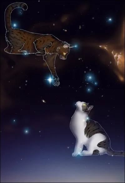 Toujours sur &Eacute;toile Balafr&eacute;e, Quel &eacute;tait son nom de chaton ?