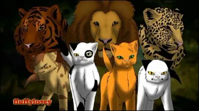 De quel clan est-il ?