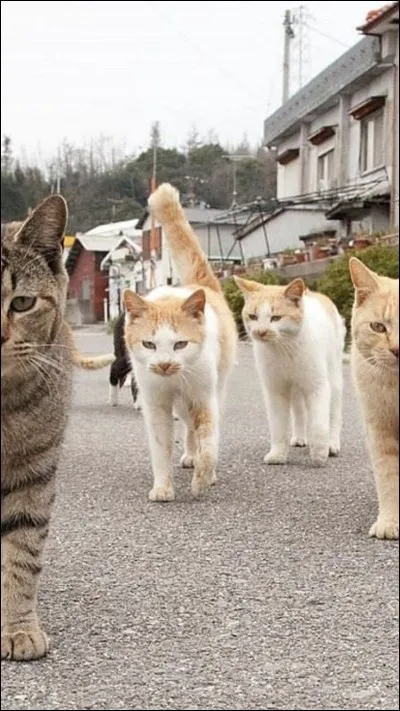 Combien de filles a-t-il perdues ?