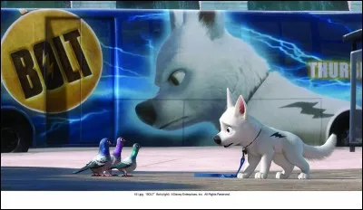 Qui est l'homme avec un il vert par rapport à Volt ?