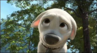 Toutes les aventures avec la maîtresse sont...