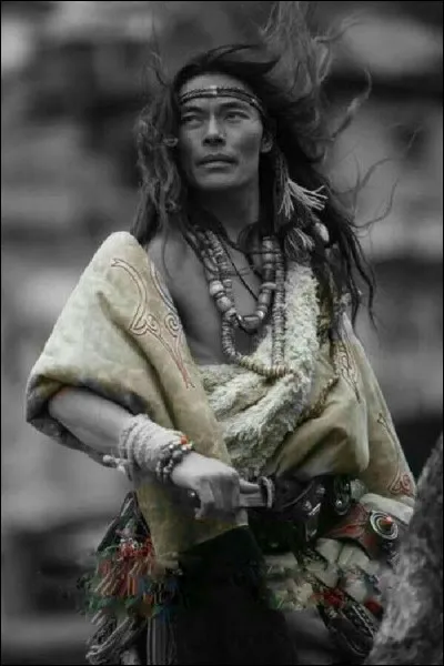 À quelle tribu appartenait Geronimo ?