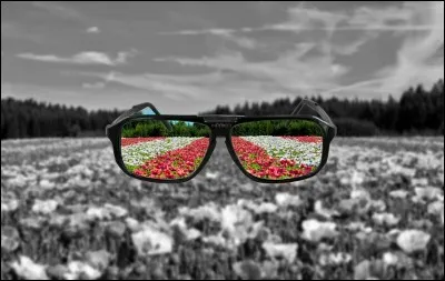 Si vous avez du mal à voir de près, et seulement de près, vous êtes :