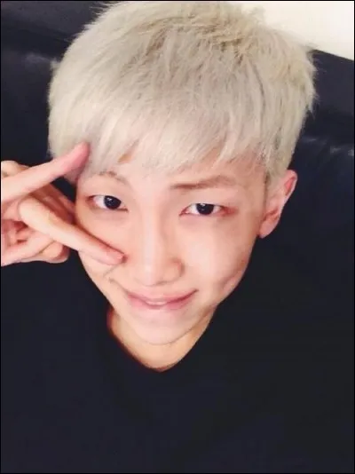 Parmi ces propositions, quelle est celle qui est un des surnoms de Rap Monster ?