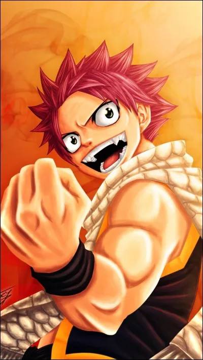 Qui est fr&egrave;re de Natsu ?