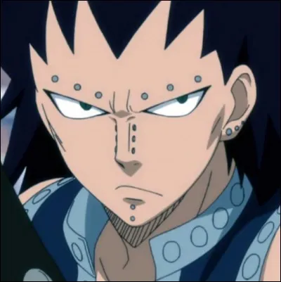 Comment s'appelle le chat de Gajeel ?