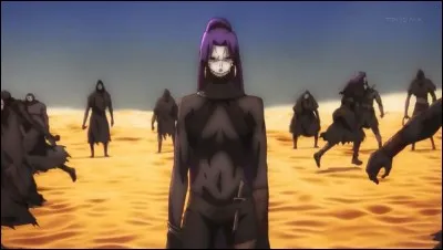 Dans "Fate/Zéro", quel servant élimine totalement Assassin ?