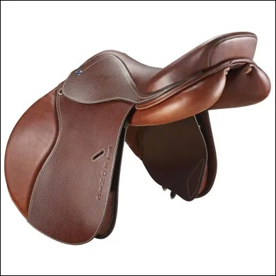 Comment appelle-t-on l'équipement que l'on met sur le dos du cheval?