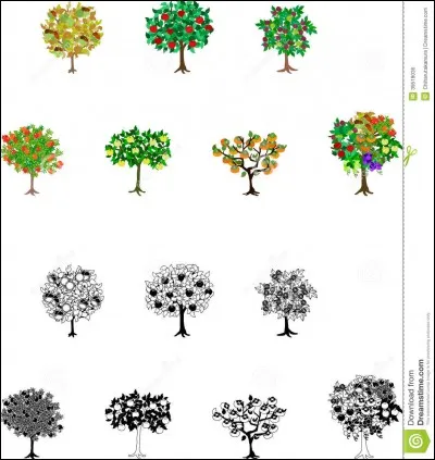 Que veut dire "quattordici" ?