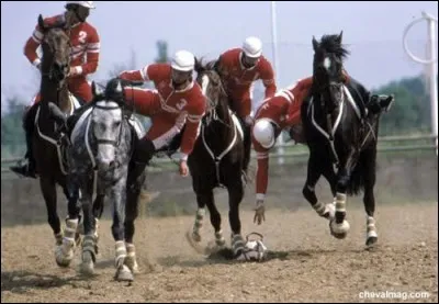 Quelle est cette discipline ?