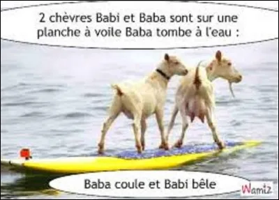 Langues étrangères - 
En langue anglaise, comment appelle-t-on une chèvre ?