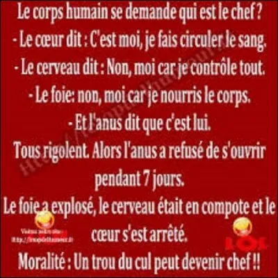 Anatomie - 
Dans quelle partie du corps humain se trouve l'os appelé "radius" ?