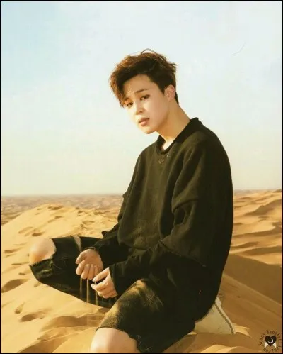 Qui a aidé Jimin lors de sa dépression ?