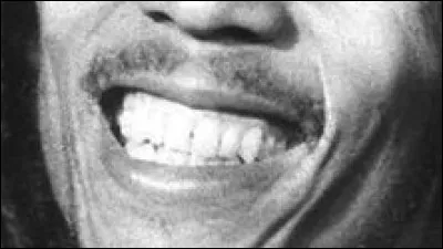 Ce large sourire est celui d'un chanteur et musicien jamaïcain. Quel est son nom ?