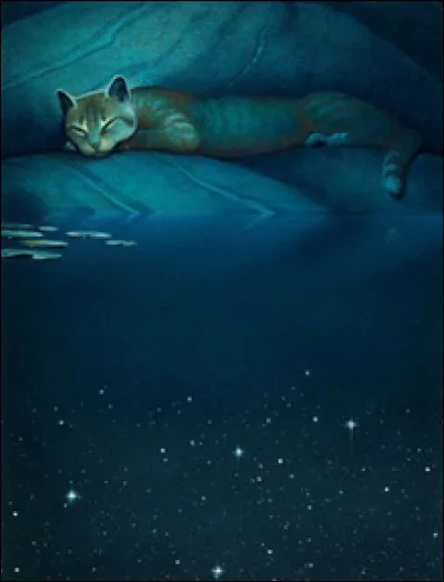 Comment se nomme cette chatte se trouvant dans la source de Lune ?