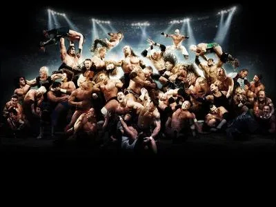 Qui a gagn entre Undertaker et Cm Punk au Hell in a cell ?