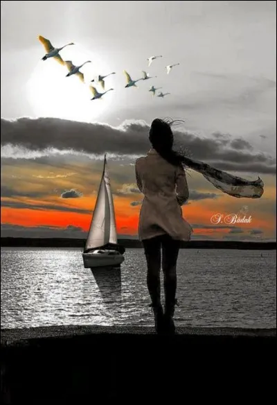 Quel oiseau de mer a fait l'objet d'un poème de Baudelaire ?