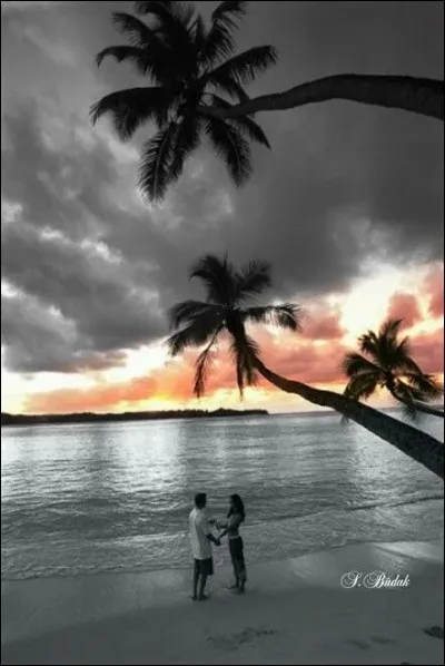 Il chantait "Nous marchions sur une plage un peu comme celle-ci, c'était l'automne, un automne où il faisait beau..." :