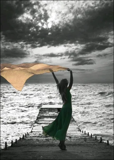 Laquelle de ces villes se trouve en bord de mer en Vendée ?