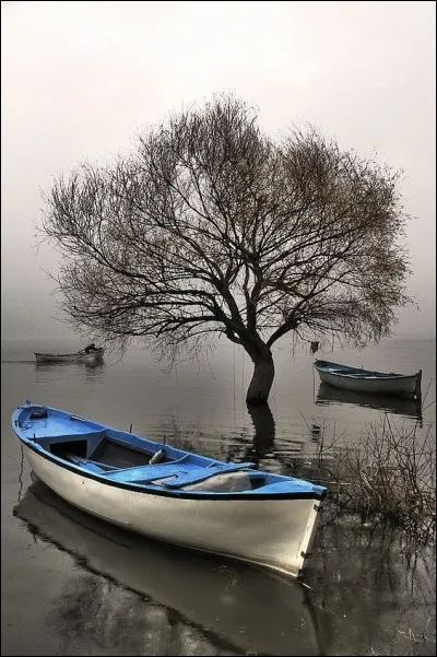 Qui a écrit "Le pêcheur d'Islande" ?