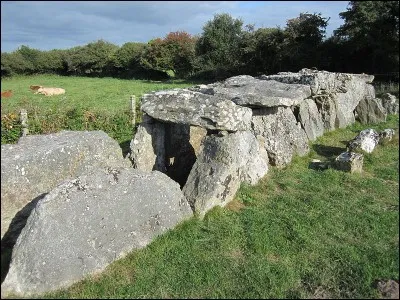 C'est une allée couverte de 16 mètres de long, composée de 7 tables dont une seule est en granit, pierre qui n'est pas de la région. Elle se trouve près du hameau de la Forge à...