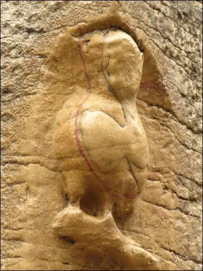 C'est une petite chouette sculptée sur la face nord de l'église Notre-Dame, très usée, car on la caresse de la main gauche en faisant un vu. Où est-elle?