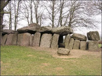 17 mètres, c'est l'un des plus longs dolmens de France. Mais sa construction est mystérieuse. La fée Viviane y serait pour beaucoup. Où est le dolmen de la roche aux Fées?