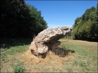 C'est une pierre qui évoque une grenouille, elle est visible sur la route de Gien. Paraît-il que les druides s'y réunissaient la nuit... Où est-elle?