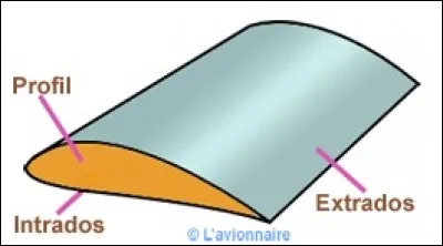 Pour qu'un aéronef s'élève dans le ciel en prenant de la vitesse, le profil de ses ailes doit être :