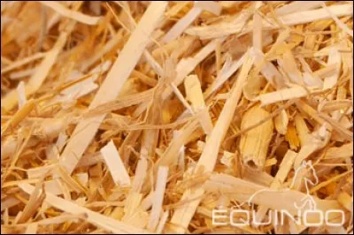 De quoi est faite la litière d'un cheval ?