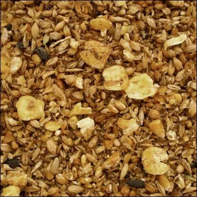 Que mange en général les chevaux ?