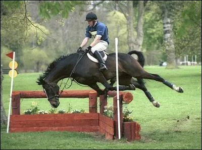Coche les danger à cheval.
