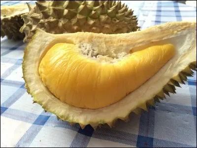 Toujours dans un pays que j'ai cité, il est interdit de manger du durian, sous peine d'une amende de 500 $.