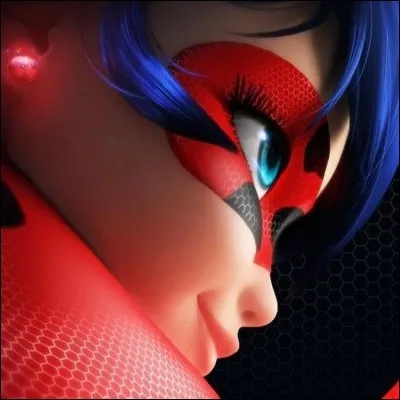 Qui est amoureux de ladybug ?