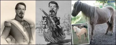 Le général et député Jacques Delmas de Grammont est l'auteur de la 1e loi sur la protection animale. Il fut, aussi, le créateur de la Société de la Protection des Animaux (SPA).
Est-ce vrai ? Est-ce faux ?