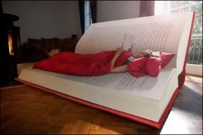 Quel est le point commun entre un livre et un lit ?