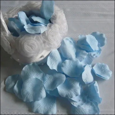 Qui chantait " Laisse-moi t'endormir une nuit boréale, sur un lit de pétales aux reflets de saphir" ?