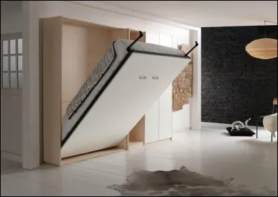 Connaissez-vous l'histoire du lit vertical ?