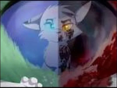 Tu es un guerrier et tu t'entraînes dans la Forêt Sombre, en pensant que c'est le Clan des Étoiles. Tu découvres en fait que tu es dans le Lieu Sans Étoiles. Quelle est ta réaction ?