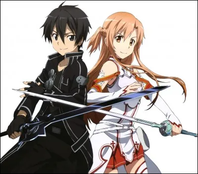 De quel manga ce couple vient-il ?