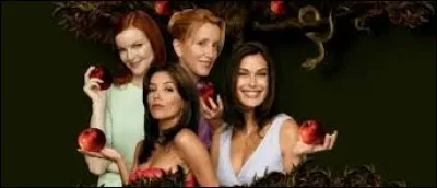 Quelle est cette série ?