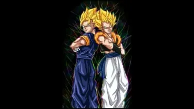 Comment s'appelle la fusion métamole et potalas de Gokû et Vegeta ?