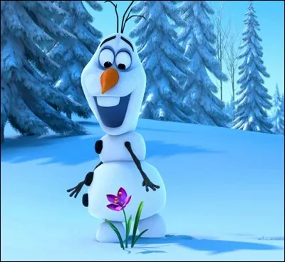 Un joli film d'animation de la maison Disney, qui se déroule dans la neige et la glace et pour cause. Quel est ce film ?