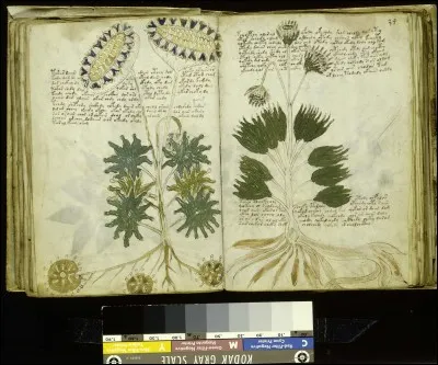 Quelle est la particularité du manuscrit de Voynich, cet ouvrage du 15e siècle ?