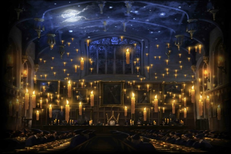 Quand Harry Potter entre pour la première fois dans la Grande Salle, où se trouve(nt) la/les torche(s) qui éclaire(nt) l'entrée par laquelle il est passé ?