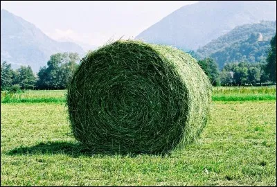 Comment doit être stocké le foin chez vous ?