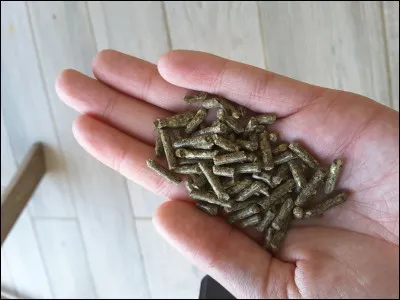 Quels granulés ne sont pas recommandés pour les lapins ?