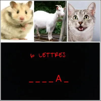 Cette fois, je te donne une lettre qui est dans ce mot, à toi de trouver !