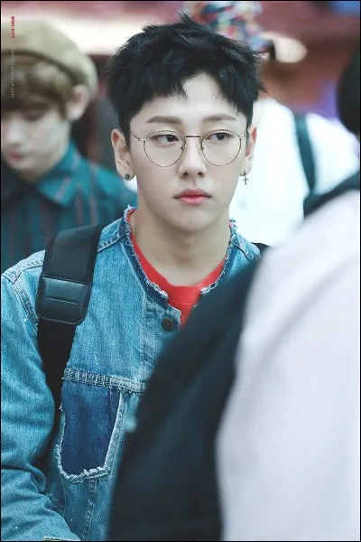 À quel groupe appartient cette idole ?